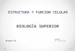 Estructura y función celular clase 2
