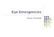 Eye emergencies   emc
