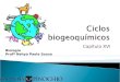 Ecologia capítulo 16. ciclos biogeoquímicos