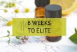 6 Weeks to Elite Program