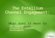 Entellium Channel Value