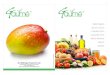 SMGK Agro Products, Delhi, Fruit Pulp