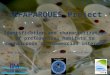 CEFAPARQUES PROJECT: ICES CEPHALOPODS WORKING GROUP
