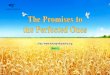 Knocking the Door of the Kingdom | Almighty God's Utterance "The Promises to the Perfected Ones"