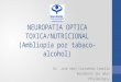 Neuropatia optica toxica-nutricional