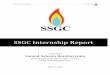 SSGC Complete Report