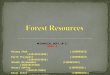 Forest resourse