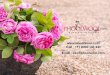 Send Flowers, Cakes, and Personalized Gifts - Phoolwool.com