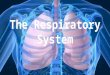 Ther The respiratory system