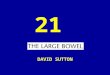 21 DAVID SUTTON PICTURES THE LARGE BOWEL