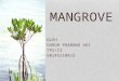 Ppt hutan mangrove_Tps 50_ tgs2-guruh prabowo adi