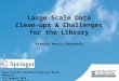 Large Scale Data Clean-ups & Challenges for the Library