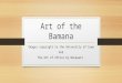 Art of the Bamana