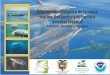 Gua de identificacion de la fauna marina del caribe y el pacfico oriental tropical cetceossirnidos y tortugas