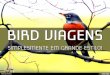 BIRD VIAGENS | Quem somos nós