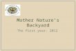 Mother Nature's Backyard: the first year