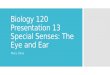 Chapter 13 - Special Senses: Eye and Ear Abbreviations