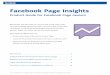 Page Insights Guide