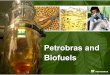 Petrobras biofuels may2007