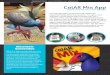 ColAR Mix App Review