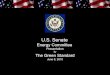 US Senate Energy Committee presentation June 8 2010