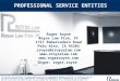 Professional Service Entities Power Point