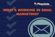What Works in Email Marketing Today