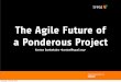 The agile future of a ponderous project