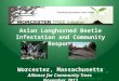 “Community Response to Asian Longhorned Beetle Invasion” by Peggy Middaugh, Director, Worcester Tree Initiative