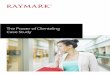 The Power of Clienteling Raymark Case Study