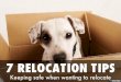 7 Tips for a Successful Relocation Project