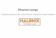 Phoenix Lamps - Dominant business under a competent Owner !!