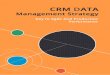 CRM Data Management Strategy Key to Agile and Productive Performance
