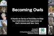Becoming Owls by Matt Welter
