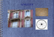 Angles. Types and parts