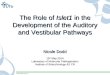 The role of Islet1 in the development of the auditory and vestibular pathways