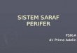 Sistem Saraf Perifer