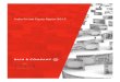 BAIN-REPORT India Private Equity Report 2015