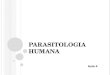 Parasitologia - aula 4.ppt