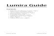 Lumira Guide .pdf