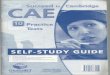 Succeed in CAE Study Guide