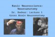Basic Neuroscience Lecture 1