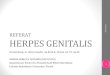 Presentasi Herpes Genitalis-Aninda