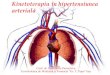 curs 21 - Kinetoterapia in HTA.pdf