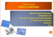 250735818 Tinea Corporis