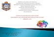 Instructivo de Servicio Comunitario y Cronograma de Actividades Periodo i -2014