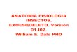Anatomía Fisiología Insectos. Exoesqueleto. Versión 01.i02. William e. Dale Phd