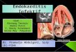 Presentasi DT Endokarditis Infektif