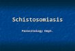 Schistosomiasis &