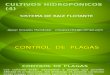 Cuarta Parte Control de Plagas Cultivos Hidropónicos (1)